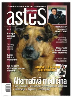 ASTES 2008.11 — Nr. 11