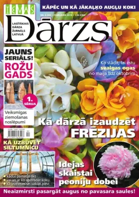 IEVAS DĀRZS — Nr. 02