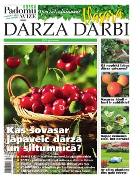 VASARAS DARBI DĀRZĀ 2023