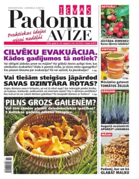 IEVAS PADOMU AVĪZE — Nr. 32