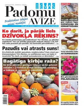IEVAS PADOMU AVĪZE — Nr. 43