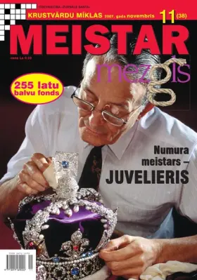 MEISTARMEZGLS — Nr. 11