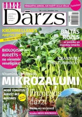IEVAS DĀRZS — Nr. 01