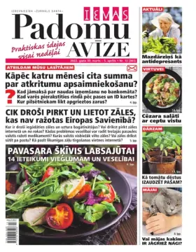 IEVAS PADOMU AVĪZE — Nr. 13