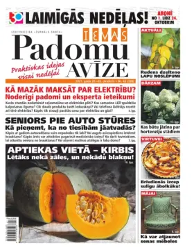 IEVAS PADOMU AVĪZE — Nr. 42