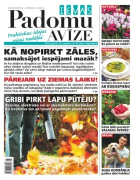 IEVAS PADOMU AVĪZE — Nr. 43